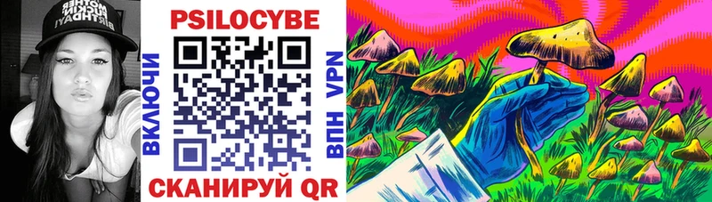 Псилоцибиновые грибы мухоморы  дарнет шоп  Унеча 